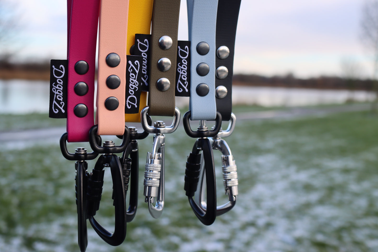 A collection of five colorful DoggoZ BioThane leashes in magenta, peach, yellow, olive, and light blue, showcasing various black and silver locking carabiners against a blurred winter landscape background.