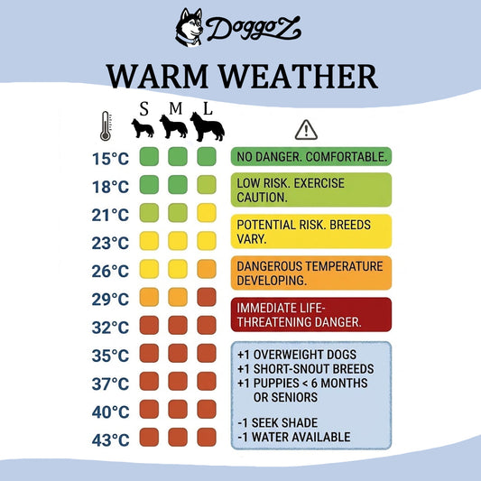Warm Weather + Dogs - Do's and Dont's - Learn about myths