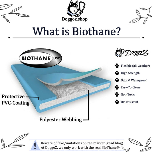 DoggoZ infographic: Anatomy of BioThane USA showing waterproof PVC coating and high-strength core. Lists benefits for reactive dogs and a warning on imitation quality.