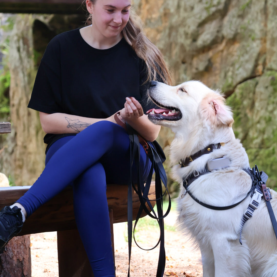 Klantfoto met een golden retriever die met een DoggoZ hondenlijnen riem  en een veiligheidslijn van DoggoZ op de foto. Je ziet een lange 10 meter lijn in het zwart en bruin in 19mm met een karabijnhaak.