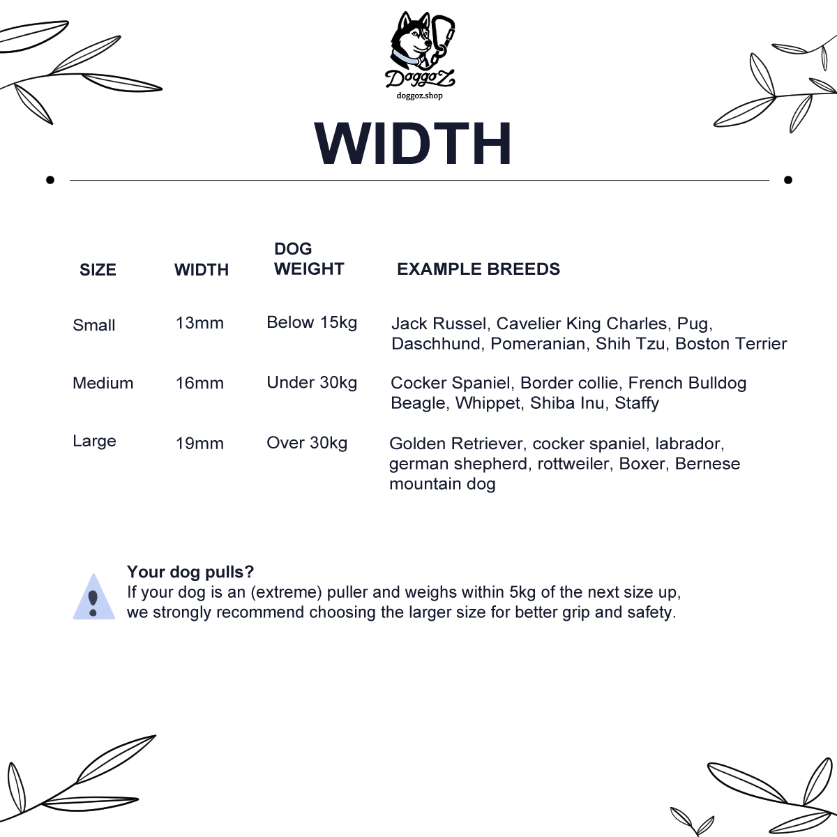 SAFE – BioThane® Leash - 1 Color