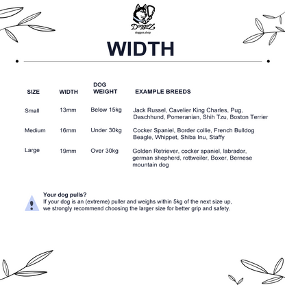 SAFE – BioThane® Leash - 1 Color