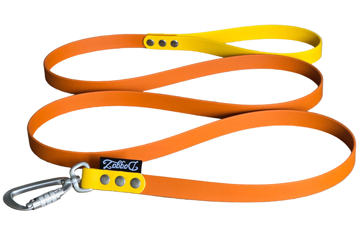 BioThane® Leash with 2 colors - 1.5m to 10 meter - Carabiner | DoggoZ