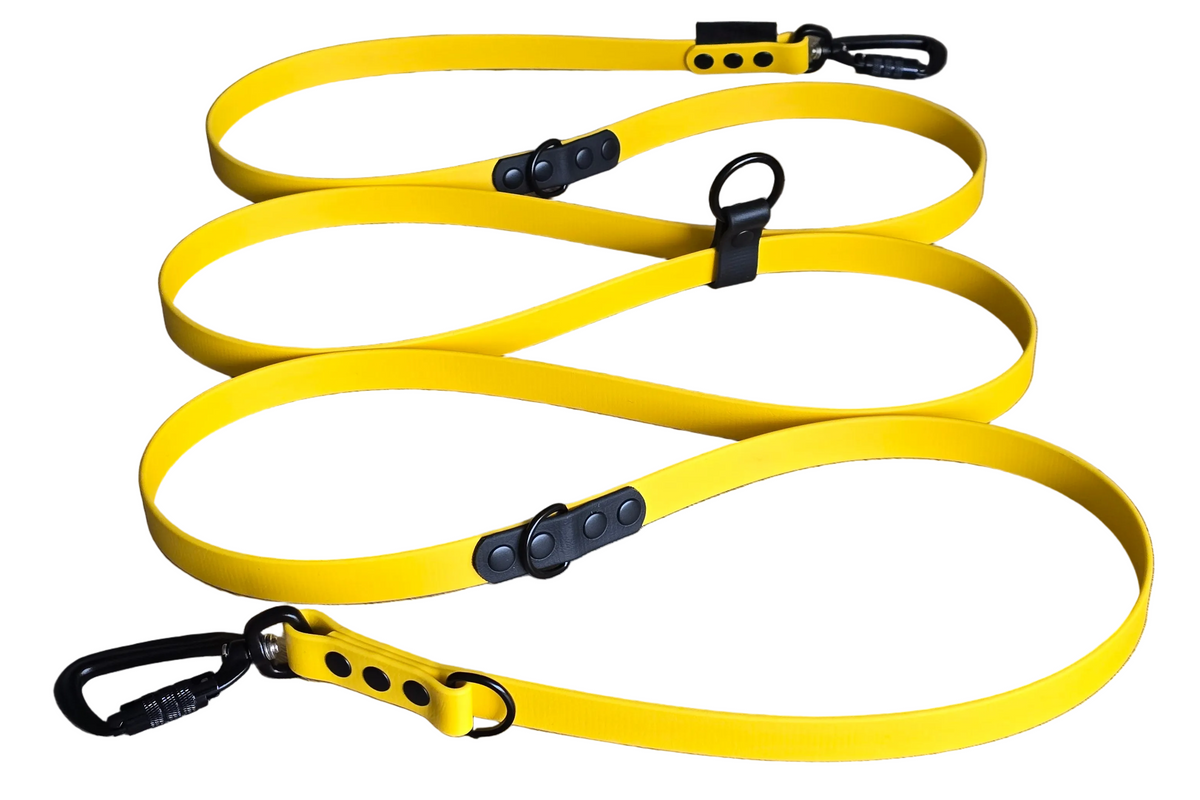 Hands-Free Adjustable Dog Leash - BioThane® - 3m | DoggoZ